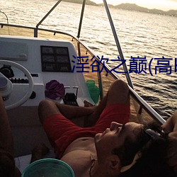 淫欲之巅(高H