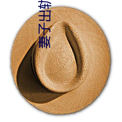 妻(妻)子出轨小(小)说
