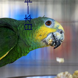 日本一卡三卡四卡(kǎ)