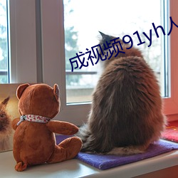 成视频(pín)91yh人入口