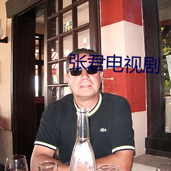 张君电视剧