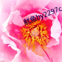 鱿鱼by2297com