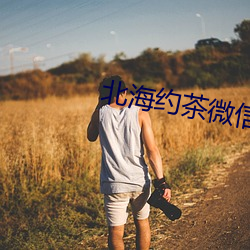 北海约茶微信(xìn)