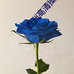 亚洲高清操P图