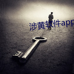 涉黄(黃)软件app下载