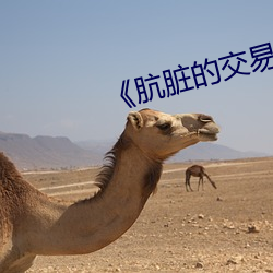 《肮(肮)脏的(的)交(交)易》免费观看