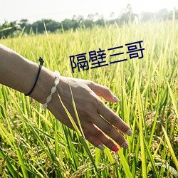 隔壁三哥 （如狼似虎）