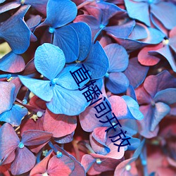 直播(播)间开(開)放