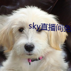 sky直播间(jiān)免费下(xià)载(zài)