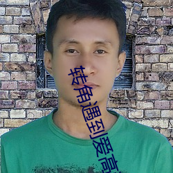 转角遇(遇)到爱(愛)高清