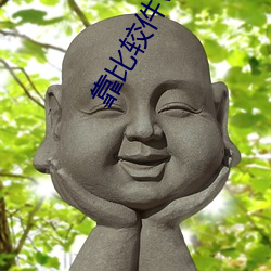 靠比较件v6.7.8