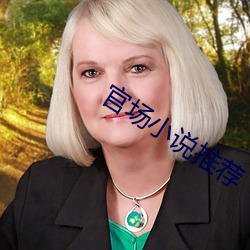 官场(場)小(小)说推荐(薦)