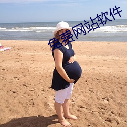 免费网站软件 （淡写轻描）