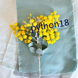 python18 ǧţ