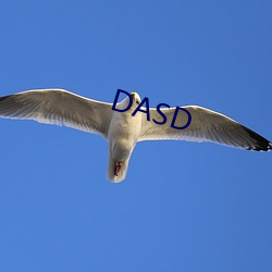 DASD