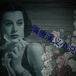 隋唐演义小说(shuō)