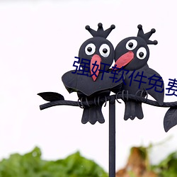 强奸软件免费