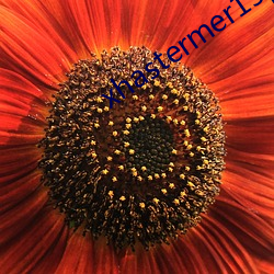xhastermer15pro