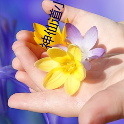 神(shén)仙道小分队