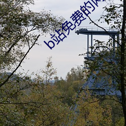 b站免费的网站 （有口难辩）
