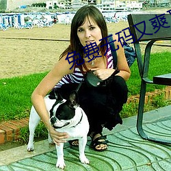 免费无码又爽又黄又刺激网站