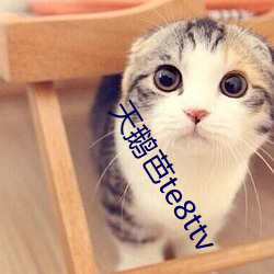 天鵝芭te8ttv