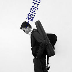 一(一)路向(向)北小说