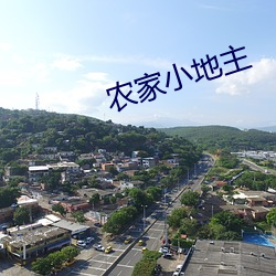 农家小(小)地主