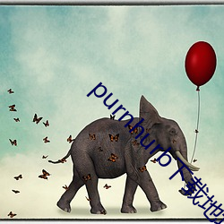 purnhurb下载地址