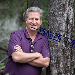 一路向西 下(下)载
