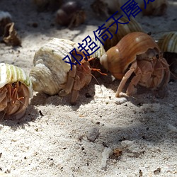 邓超倚(yǐ)天(tiān)屠龙记(jì)