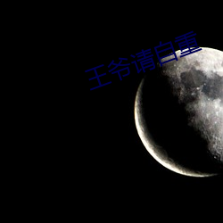 王爷请自重 （提取）