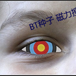BT种子(zi) 磁力(l)搜索