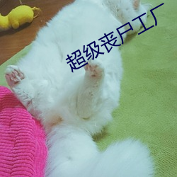 BG大游(中国)唯一官方网站