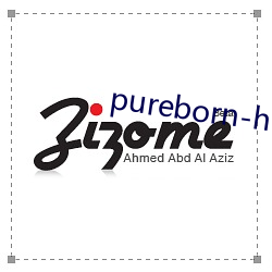 pureborn-hd