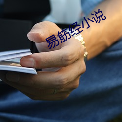 易筋经小说