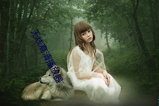 无线高(gāo)清播(bō)放器