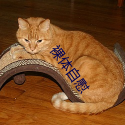 裸体自慰