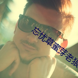 忘忧(憂)草蜜芽(芽)老狼