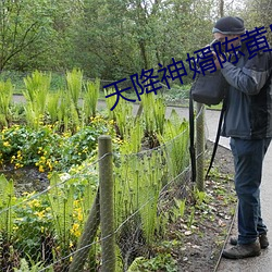 天降神婿陳黃皮小說免費閱讀