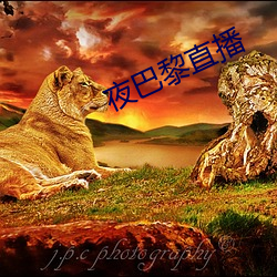 夜巴黎直播 （城下之盟）