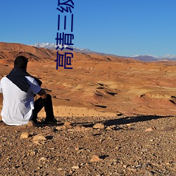高清三级播放器
