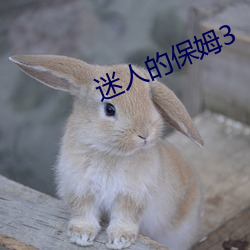 迷人的保姆3