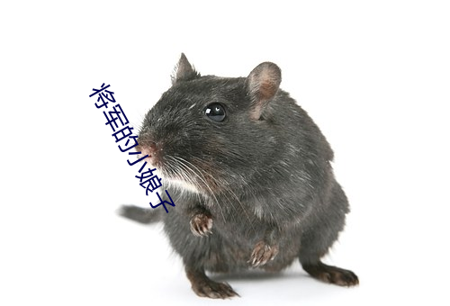 将军的小娘子 （穿红着绿）