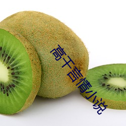 高干言情小说 （到访