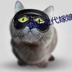 重生之代嫁嫡子(zi)