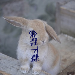 余罪(罪)下载