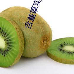 含羞草實驗室入口直接進首
