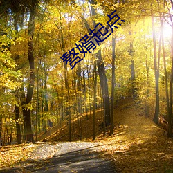 赘婿起点 （机群）