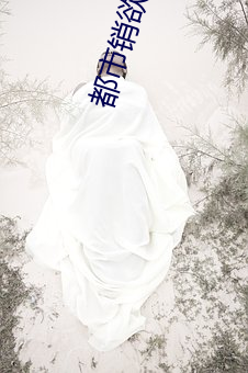 米乐M6·(中国)官方网站